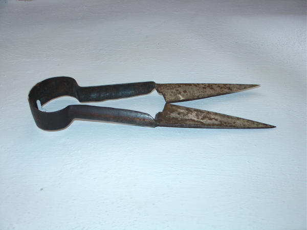 Forbici