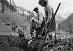Vangare il campo in frazione Canza (1960)
